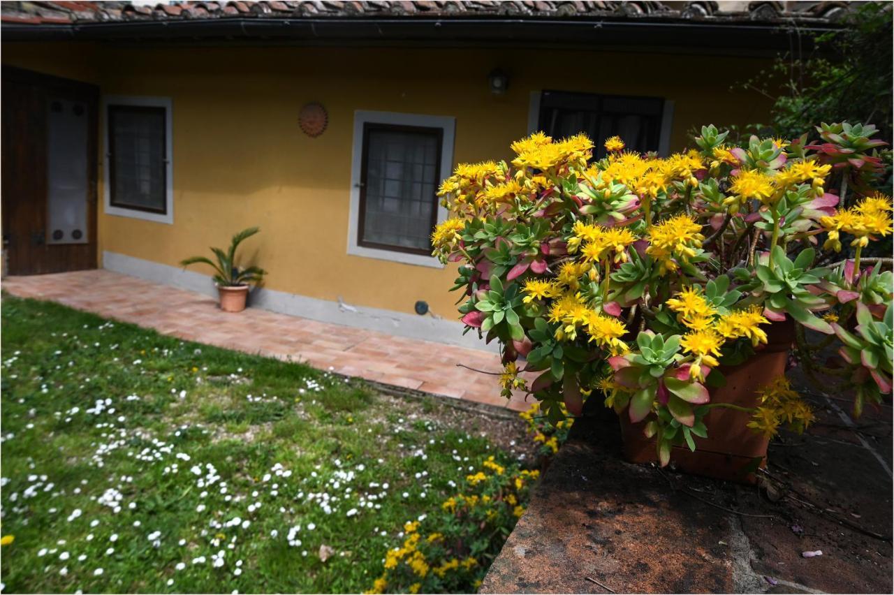 Appartamento I Cipressi Figline Valdarno Ngoại thất bức ảnh